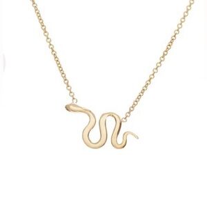 Ariel Gordon Dainty Solid Gold Snake Necklace